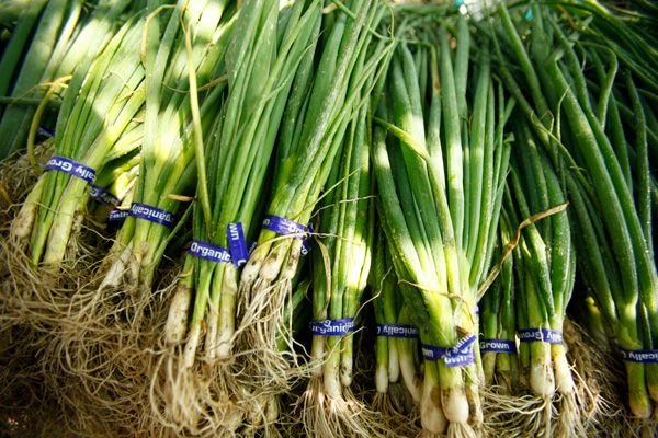 Green Onions