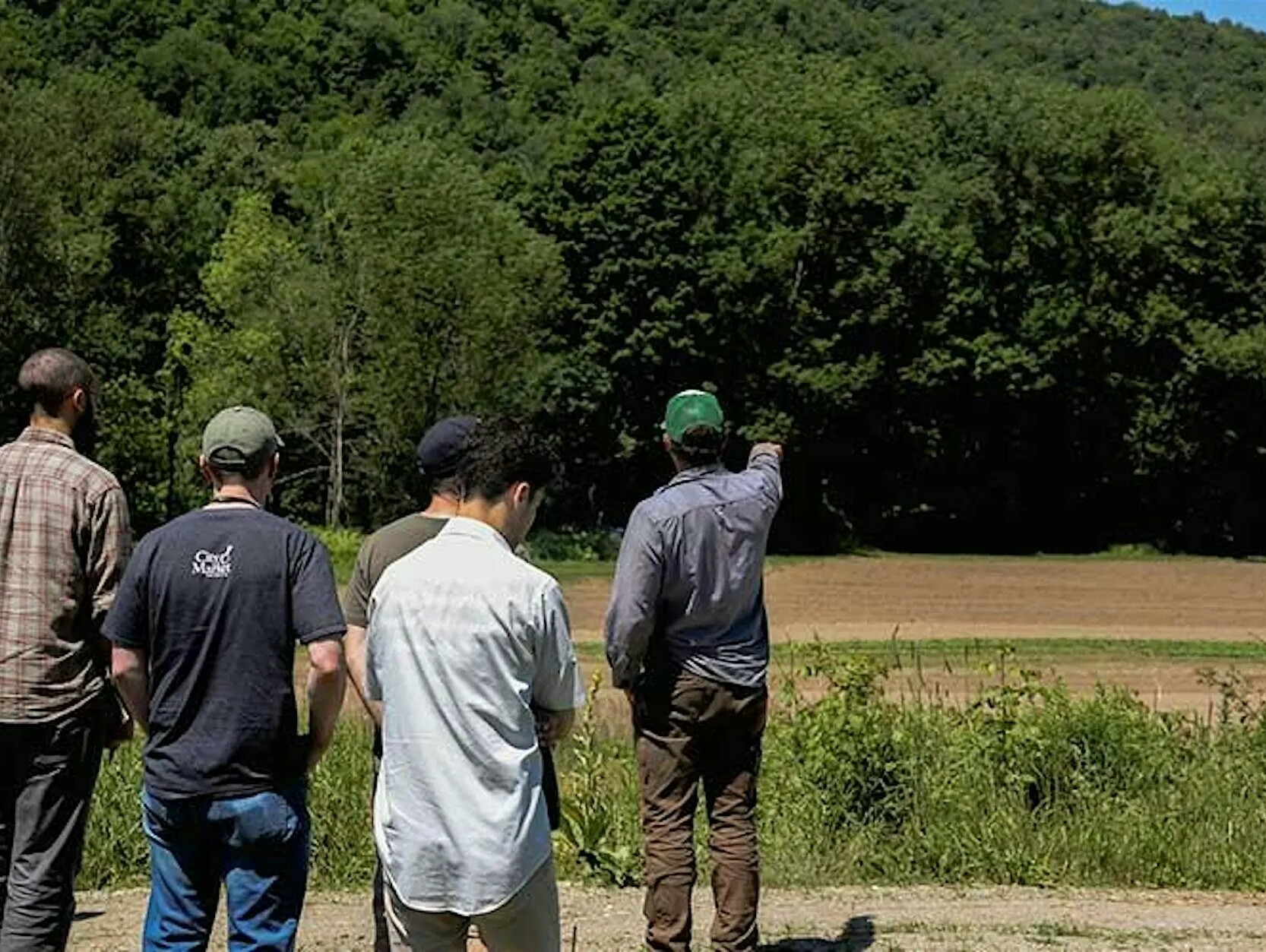 4 men stand looking at a mountain