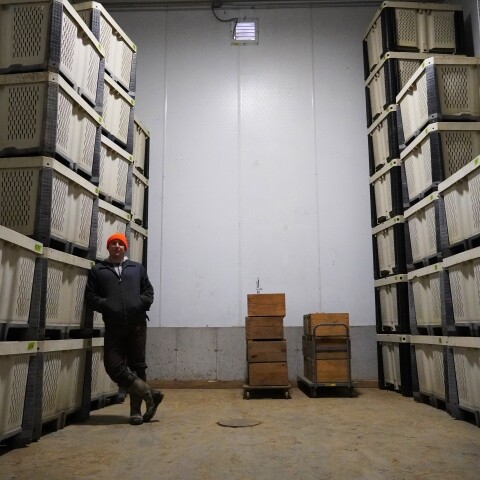 Person in a warehouse standing beside stacks of containers and wooden crates.