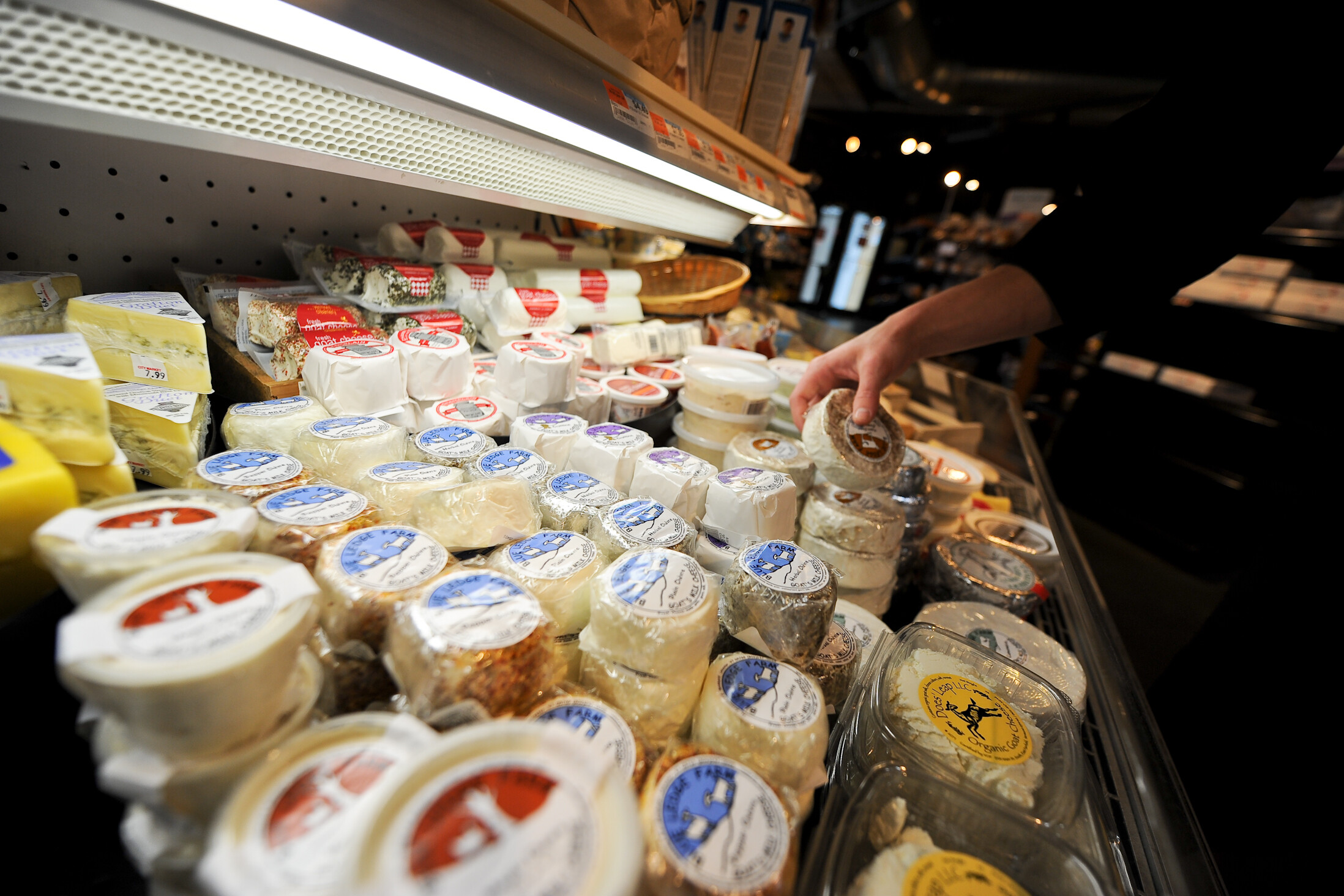A person examines various cheese varieties in a deli display case.