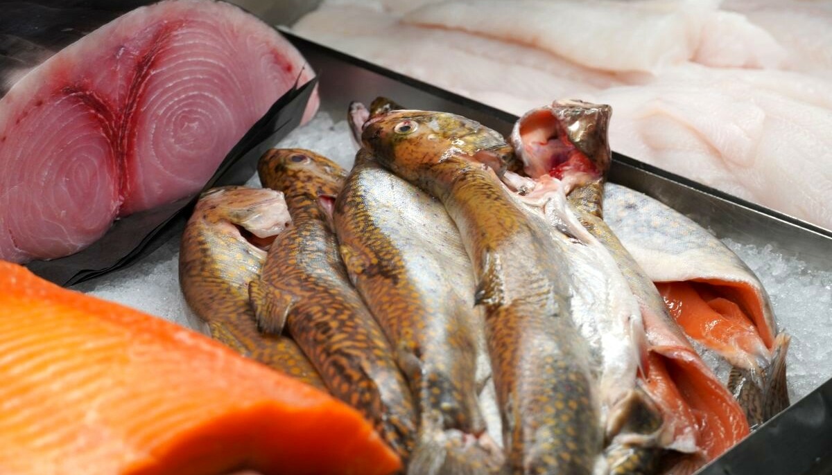 A display of various fresh fish on ice, including salmon and fillets.