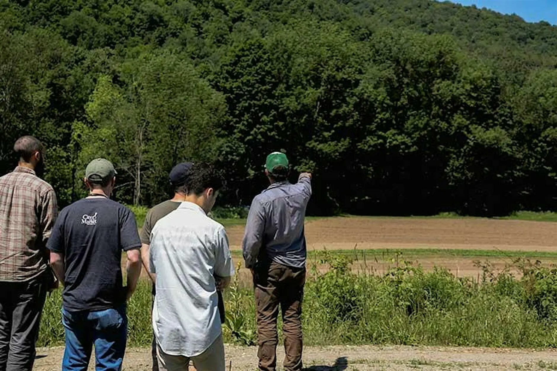 a group of people look out into a field