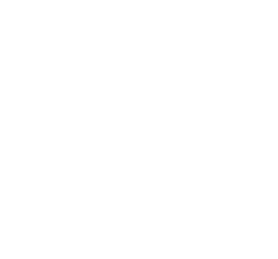 Blank white image with no discernible content.
