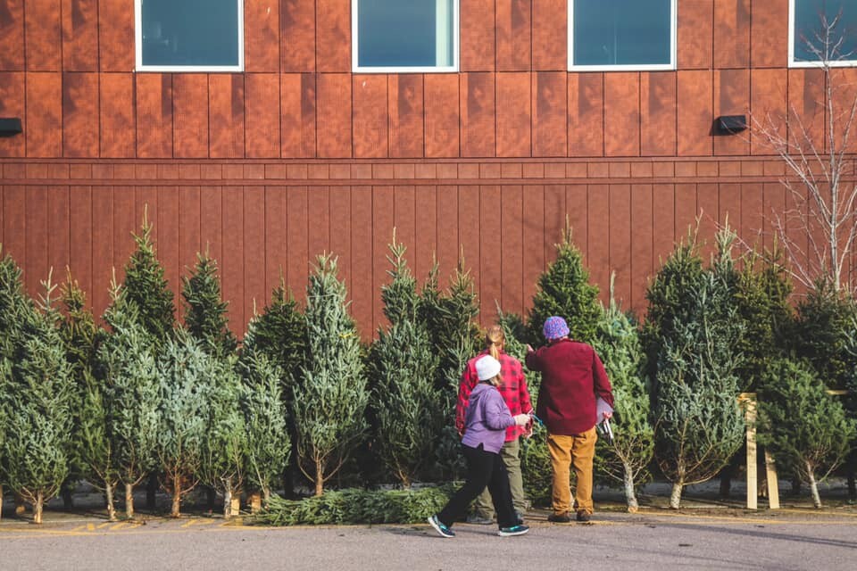 People selecting Christmas trees in front of a building.