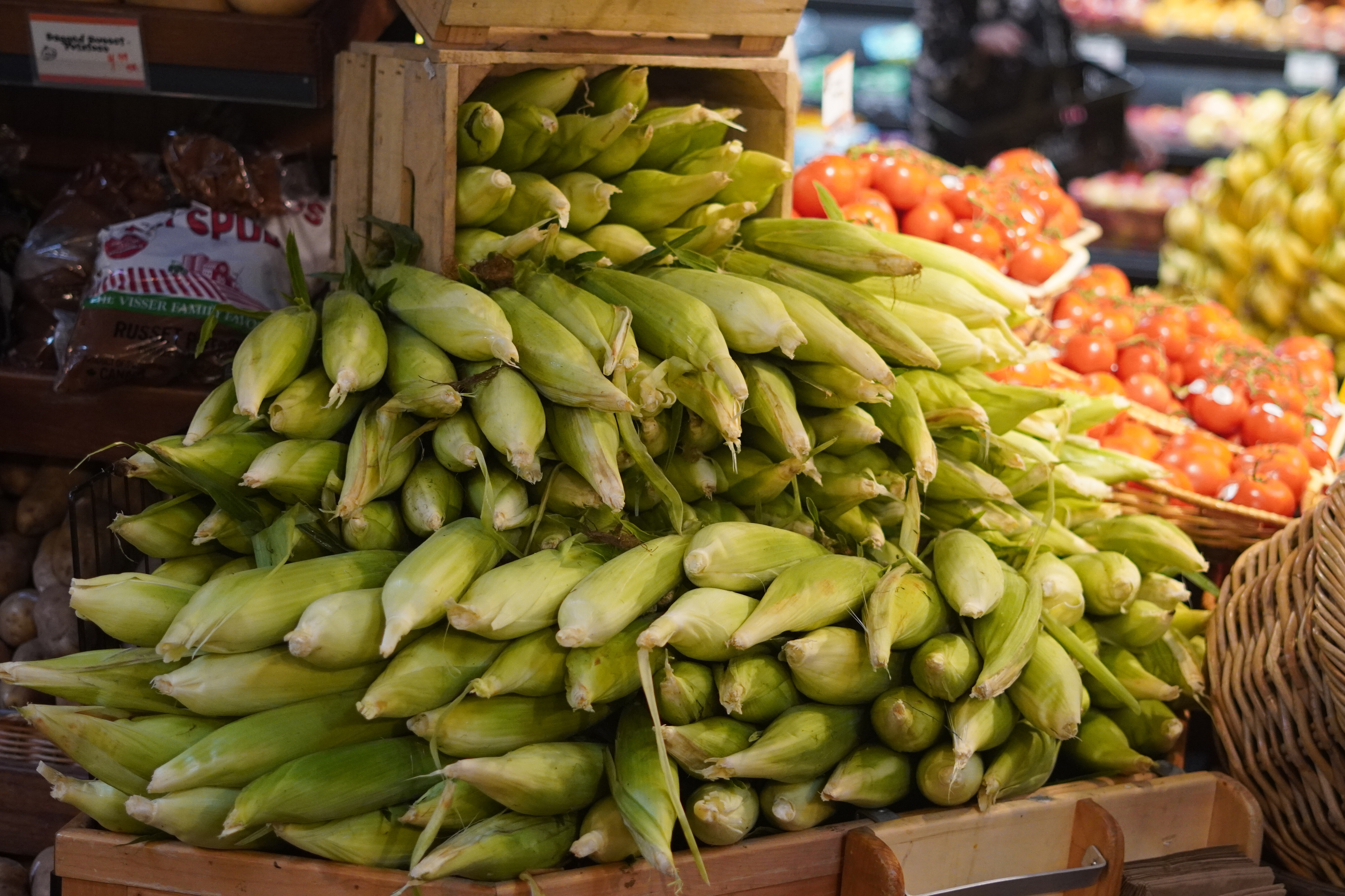 Fresh corn stacked high in a market, with tomatoes and other produce in the background.