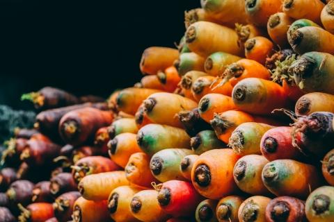 An array of purple, orange and yellow carrots stacked on top of one another, with the end sides oriented towards the camera.