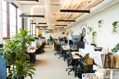 A person sits at a computer in a bright, open office. The back wall of the office has a mural with orange, teal, blue and green shapes on a white background. To the left of the person and closer to the camera, there's a bright leafy plant.