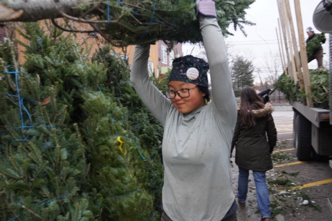 A member worker holds a tree high above her head
