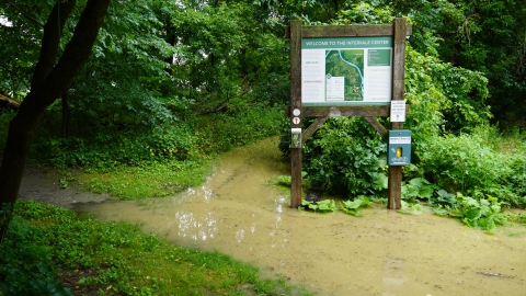 A photo of a flooded path at the Intervale Center. At the path intersection there is a sign with the headline "Welcome to the Intervale Center" and a trail map.