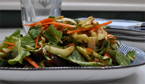 Bok choy and carrots sit on a plate! Chopped into a salad!