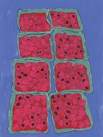 Eight green baskets of raspberries, arranged 2x4, on a blue background